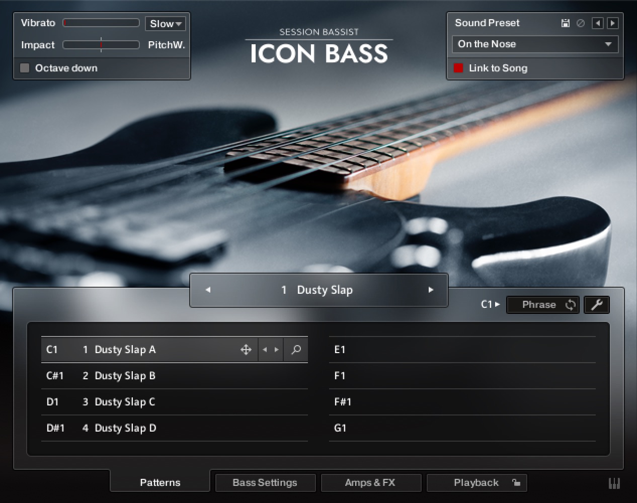 Native Instruments Session Bassist - Icon Bass